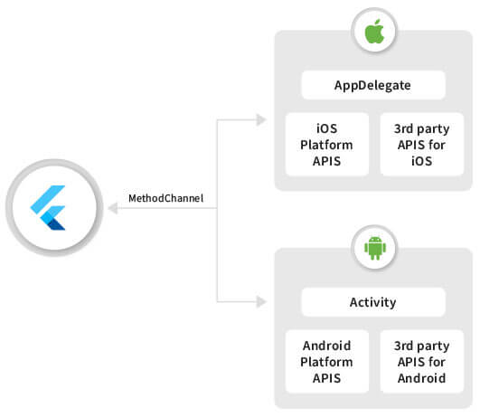 How to develop mobile apps with Google Flutter