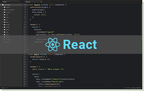 React JS development for high speed and interactive applications